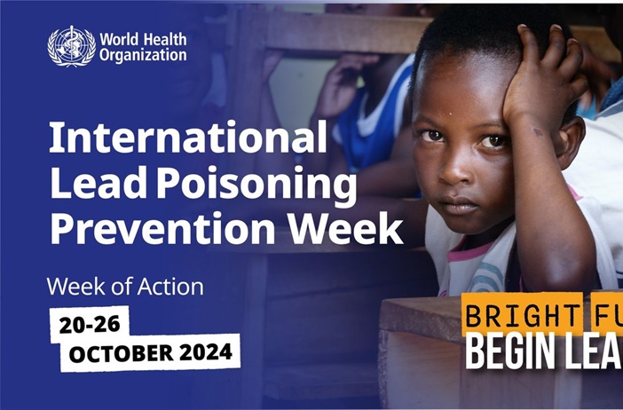 20-26 October 2024 is International Lead Poisoning Prevention Week!