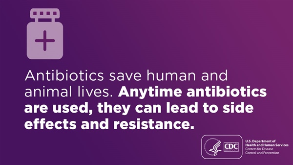 DYK that animals, including our pets and livestock, can carry germs that can spread and contribute to #AntimicrobialResistance (...