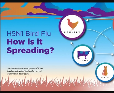 H5N1 High Pathogenic Avian Influenza (HPAI), commonly known as bird flu, is a global concern