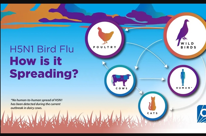 H5N1 High Pathogenic Avian Influenza (HPAI), commonly known as bird flu, is a global concern