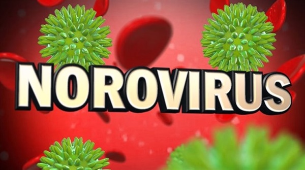 🚨 Norovirus Alert: Stay Healthy Returning to School!