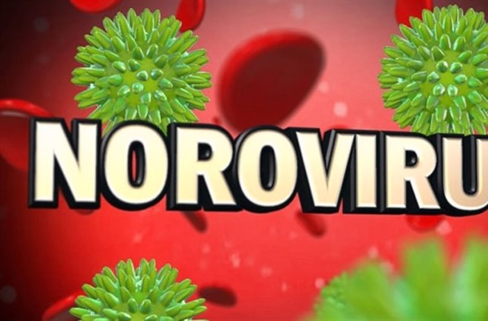 🚨 Norovirus Alert: Stay Healthy Returning to School!