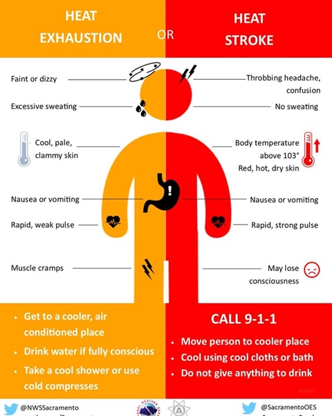 ☀️🔥 Stay Safe in the Heat!