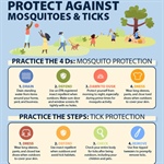 🦟Fight the Bite — Protect Yourself from Mosquitoes!
