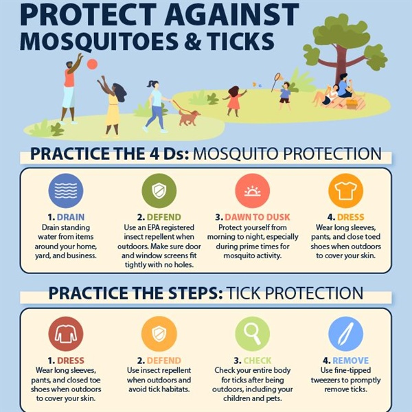 🦟Fight the Bite — Protect Yourself from Mosquitoes!