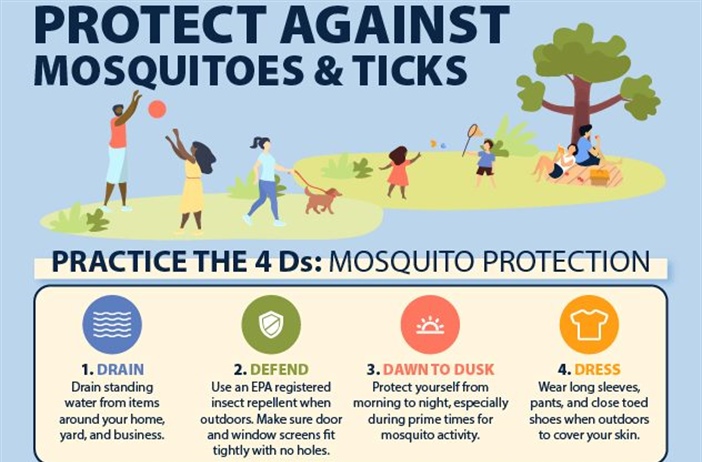 🦟Fight the Bite — Protect Yourself from Mosquitoes!