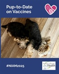 Before vaccines, rabies and parvovirus were heartbreaking realities for pet families