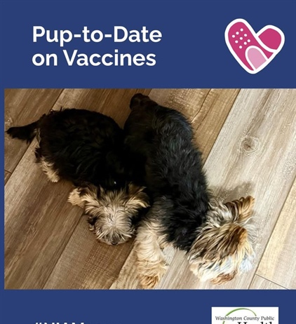 Before vaccines, rabies and parvovirus were heartbreaking realities for pet families
