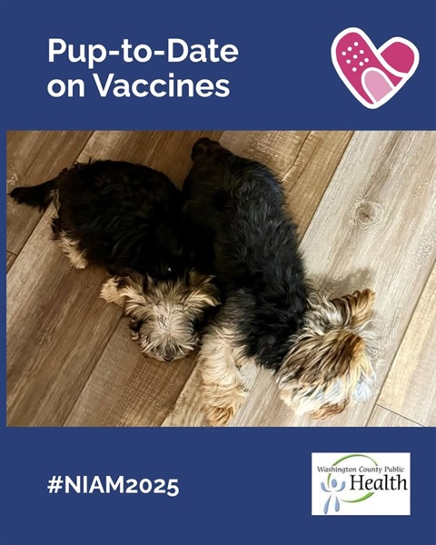 Before vaccines, rabies and parvovirus were heartbreaking realities for pet families