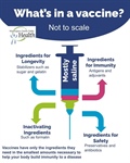Being informed about vaccines means knowing that ingredients like gelatin and aluminum aren’t scary—they’re there for specific, ...