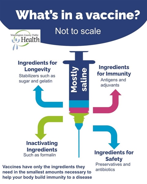 Being informed about vaccines means knowing that ingredients like gelatin and aluminum aren’t scary—they’re there for specific, ...