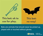 Pest consumption is one of the many ecosystem services bats perform!