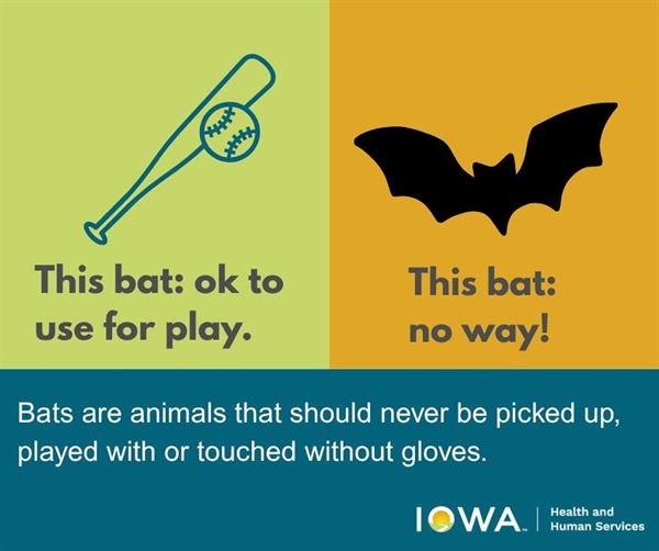 Pest consumption is one of the many ecosystem services bats perform!