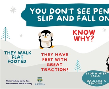 ❄️ Winter Wellness Reminder