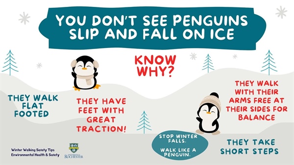 ❄️ Winter Wellness Reminder