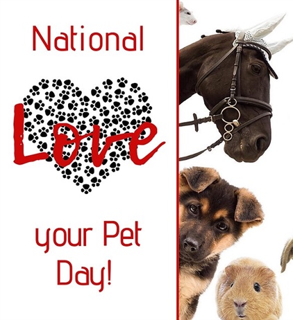 🐾 National Love Your Pet Day 🐾