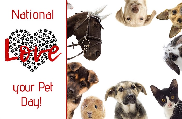 🐾 National Love Your Pet Day 🐾