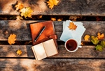 🍂🍁October is the Perfect Time for Fall Planning!🍁🍂
