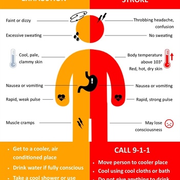 ☀️🔥 Stay Safe in the Heat!
