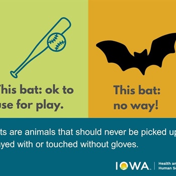 Pest consumption is one of the many ecosystem services bats perform!