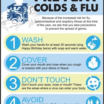 🧼 Winter Germ Prevention