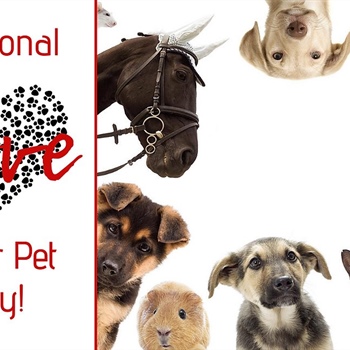 🐾 National Love Your Pet Day 🐾