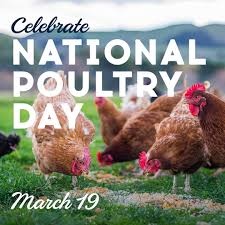 National Poultry Day 🐔🌾